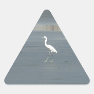 Vit fågel på Grått Sand Beach Art Print Triangelformat Klistermärke