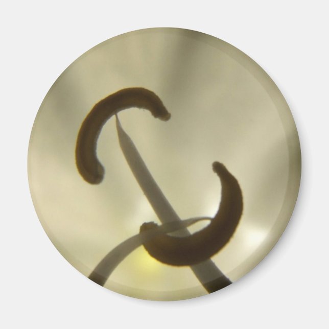 Vit färgredukinformationstext magnet (Framsidan)