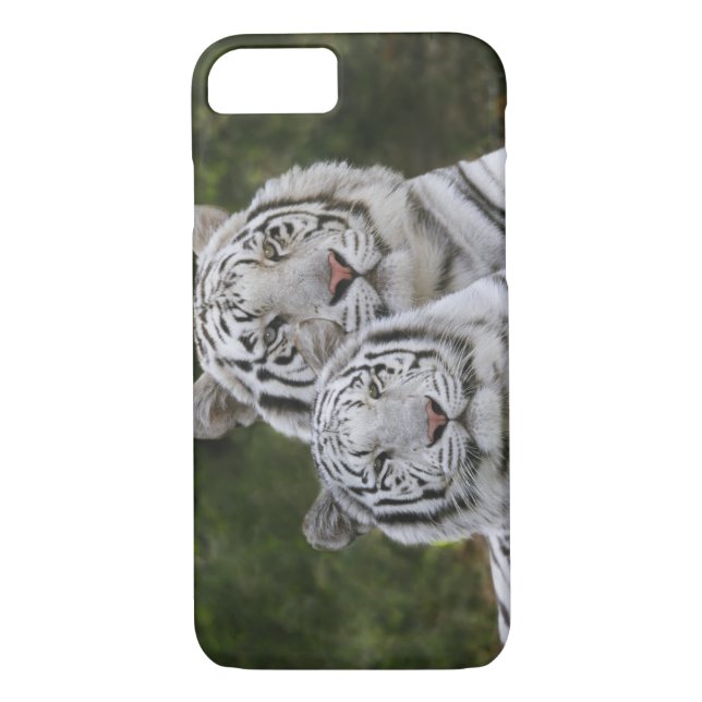 Vit fas, Bengal Tiger, Tigris Case-Mate iPhone Skal (Baksida)