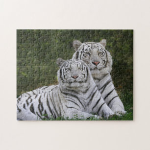 Vit fas, Bengal Tiger, Tigris Pussel