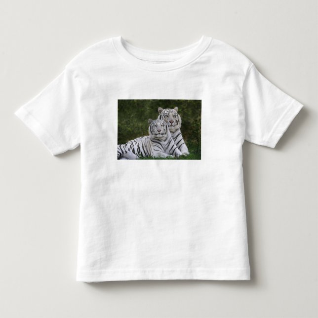 Vit fas, Bengal Tiger, Tigris Tee Shirt (Framsida)