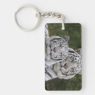 Vit fas, Bengalisk tiger, Tigris