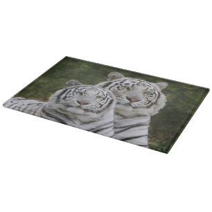 Vit fas, Bengalisk tiger, Tigris