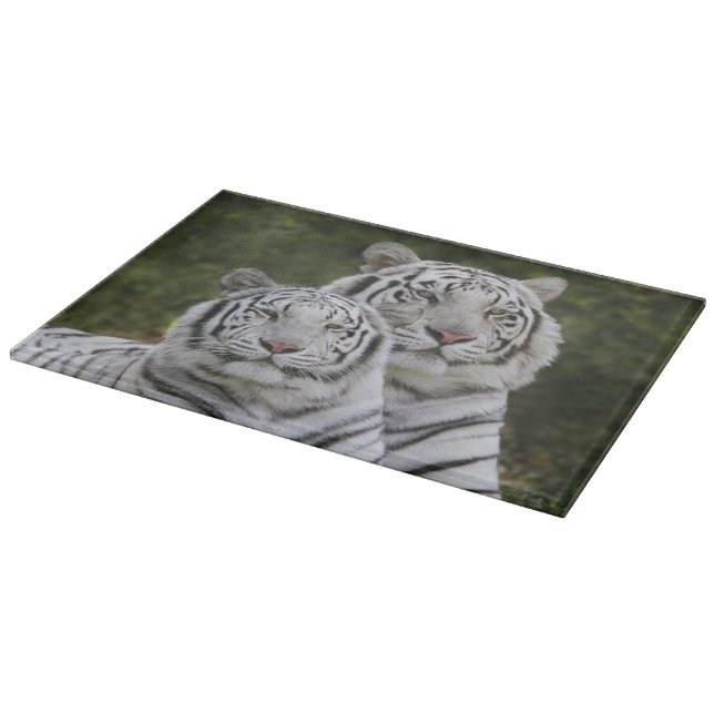 Vit fas, Bengalisk tiger, Tigris (Hörn)