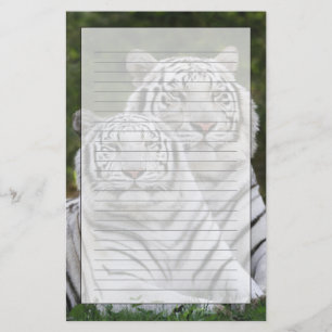 Vit fas, Bengalisk tiger, Tigris Brevpapper