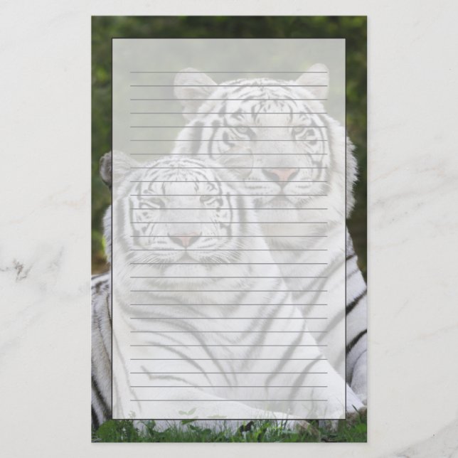 Vit fas, Bengalisk tiger, Tigris Brevpapper (Framsida)