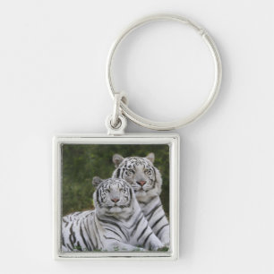 Vit fas, Bengalisk tiger, Tigris Fyrkantig Silverfärgad Nyckelring