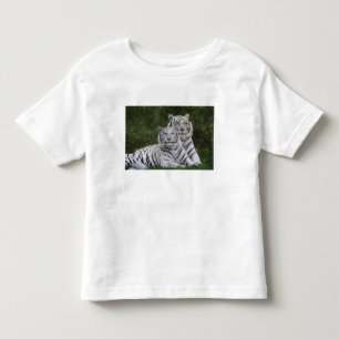 Vit fas, Bengalisk tiger, Tigris Tee Shirt