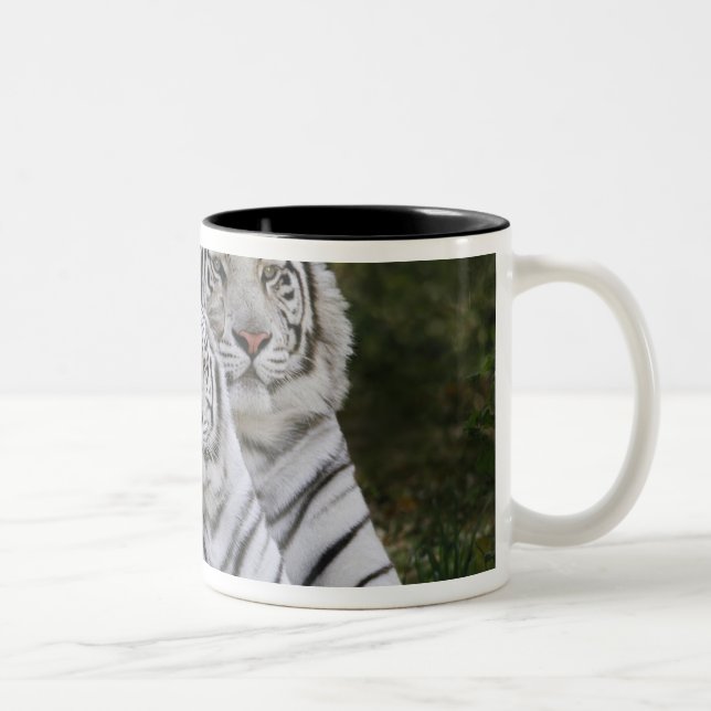 Vit fas, Bengalisk tiger, Tigris Två-Tonad Mugg (Höger)