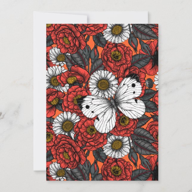 Vit fjäril och ro (Framsida)