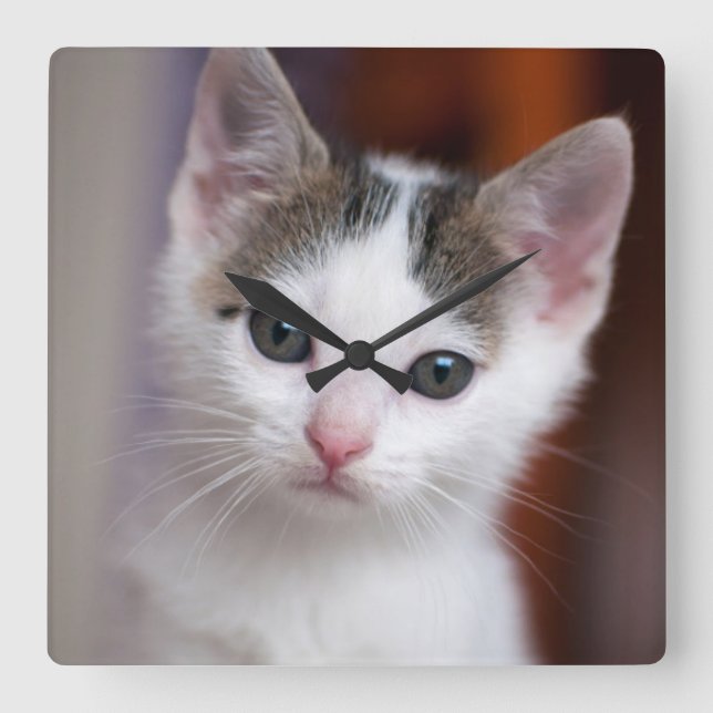 Vit fläckig Kattunge Fyrkantig Klocka (Framsida)