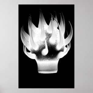 Vit flammar poster