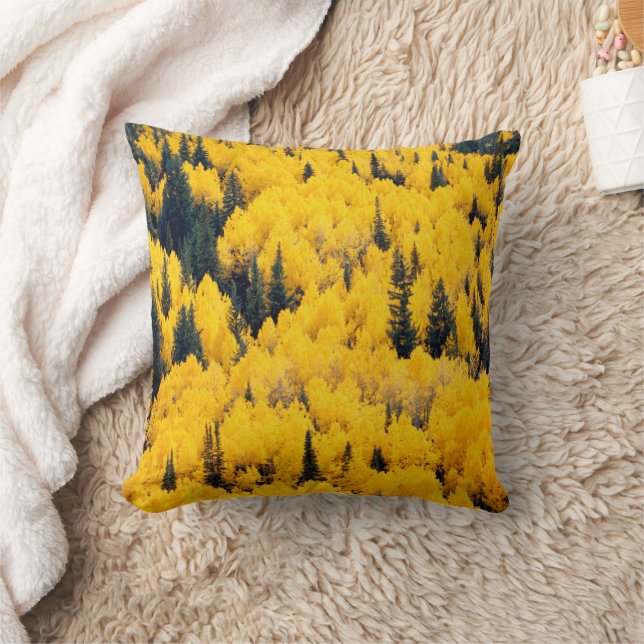 Vit flod nationella skog | Aspen, Colorado Kudde (Filt)