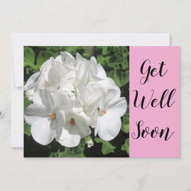 Vit Floral Photography Get well (Framsida)