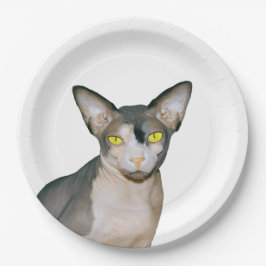 Vit för party för katt för Sphynx kattNinja Rex