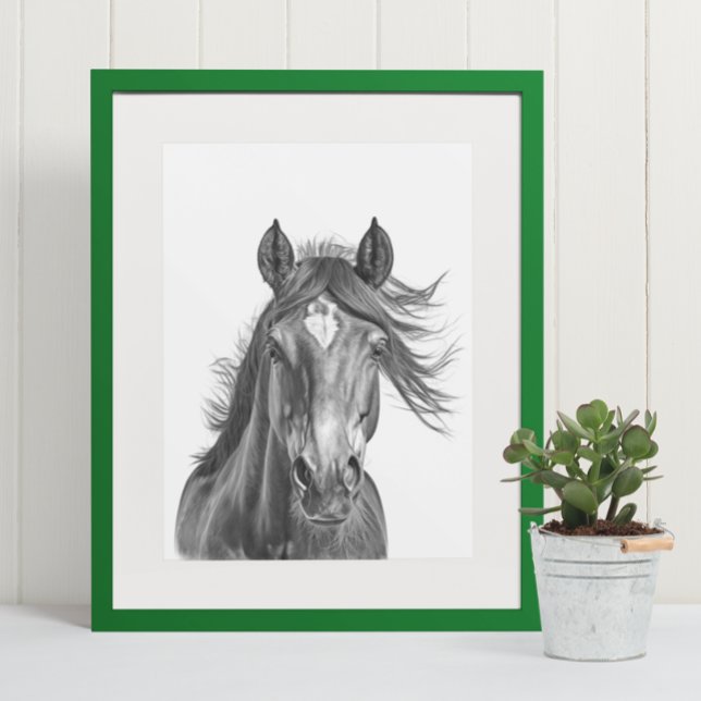 Vit för Porträtt Black, vacker horse Head Poster (Skapare uppladdad)