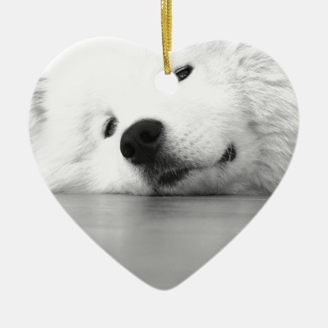 Vit för Samoyedfotohund Julgransprydnad Keramik (Framsidan)