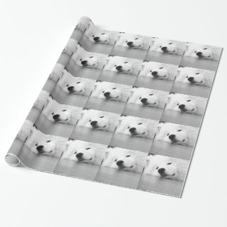 Vit för Samoyedfotohund Presentpapper