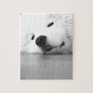 Vit för Samoyedfotohund Pussel