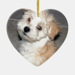 Vit för solbränna för Havanese räddingvalp Julgransprydnad Keramik