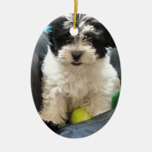 Vit för svart för Havanese räddingvalp Julgransprydnad Keramik