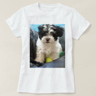 Vit för svart för Havanese räddingvalp Tee