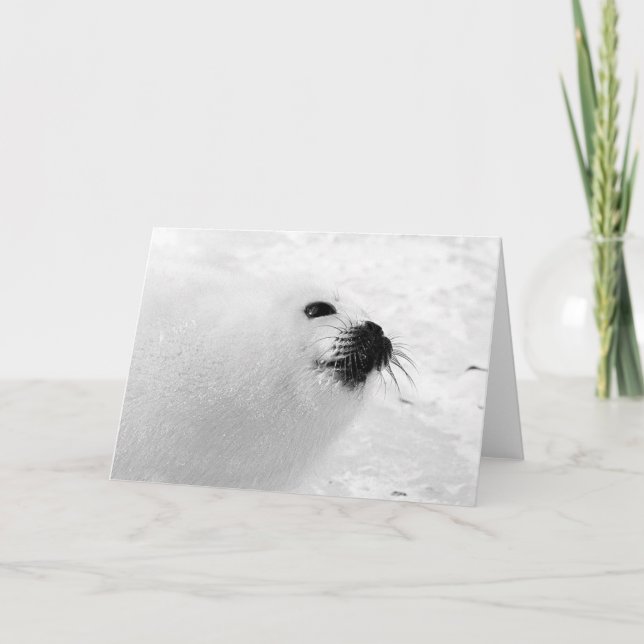 Vit försegling helgkort (Framsida)