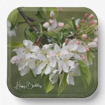 Vit frukt, Blommar, ruta