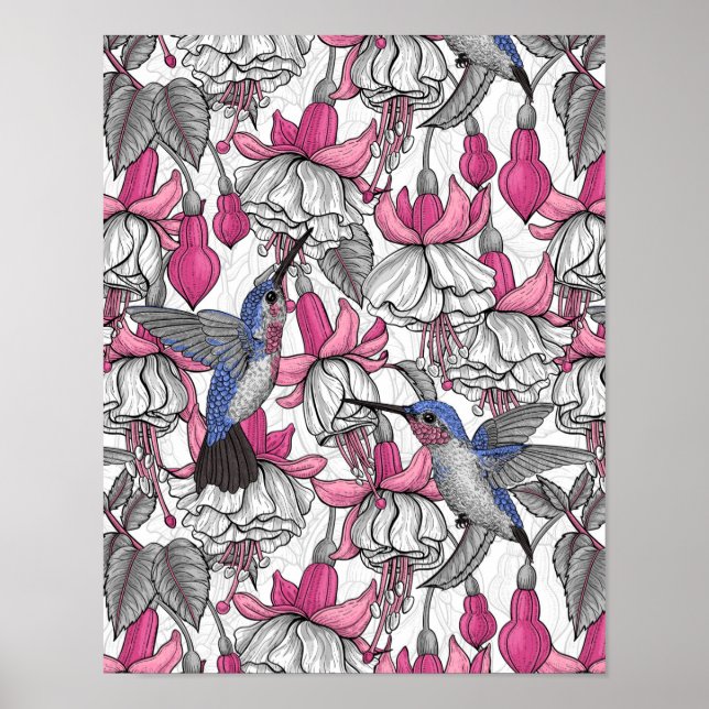 Vit fuchsia och hummingbird poster (Framsidan)