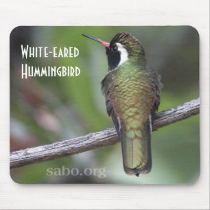 Vit-gå i ax Hummingbird Mousepad Musmatta