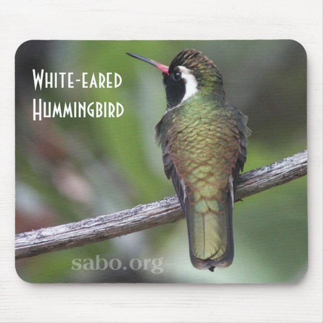 Vit-gå i ax Hummingbird Mousepad Musmatta (Framsidan)
