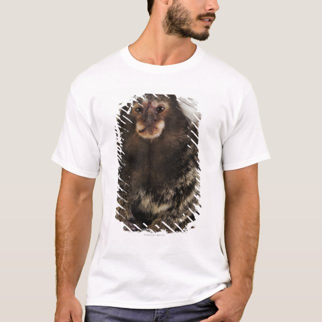 Vit gå i ax tätt upp marmoseten på gren, studion t-shirt (Framsida)