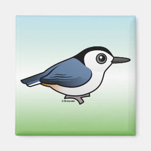 Vit-gådd mot Nuthatch Magnet