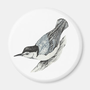Vit gådd mot Nuthatchmagnet Magnet
