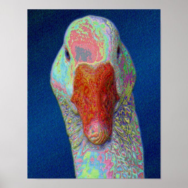 Vit gäss Ansikte Abstrakt Farm Animal Art Art Poster (Framsidan)
