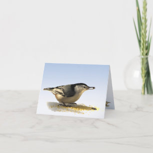Vit-gått mot Nuthatchtack Tack Kort