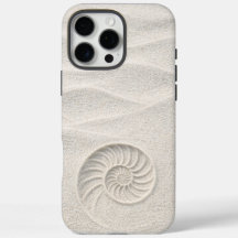 Vit glänsande sand Nautilus-skal kust