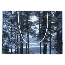 Vit Gräs i blått ljus —