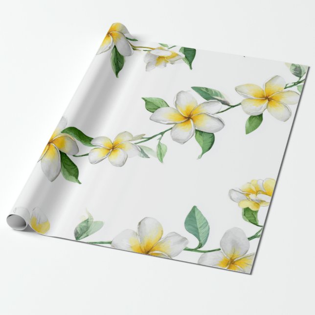 Vit Grön Plumeria Hawaii Tropisk Frangipani Presentpapper (Utrullad)