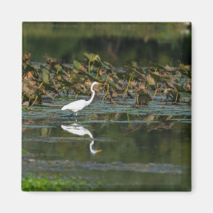 Vit grön reflektion magnet