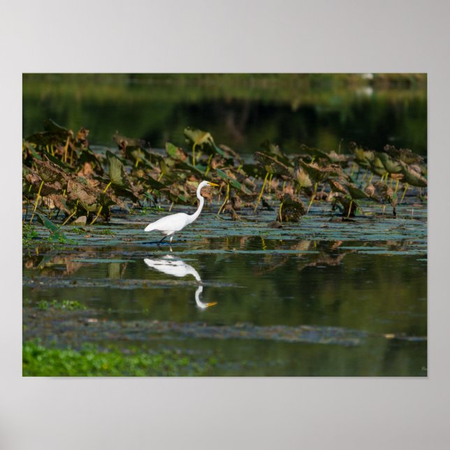 Vit grön reflektion poster (Framsidan)
