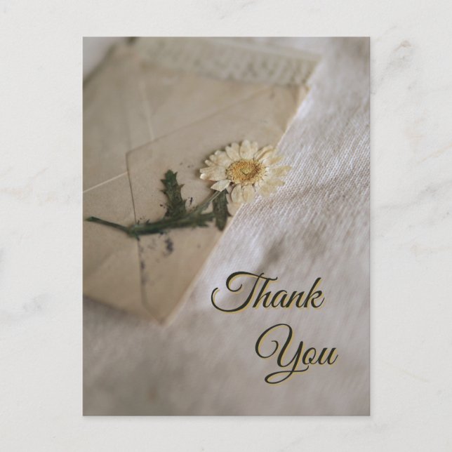 Vit & Gul Daisy Vintage Brev Vykort (Framsida)