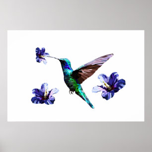 Vit gul Hummingbird/Hibiscus Poster