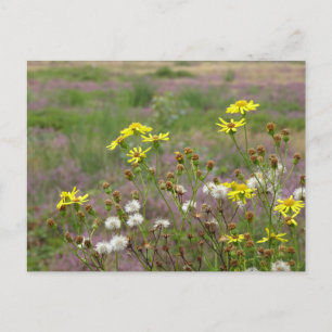 Vit Gula blommor-DIY-vykort Vykort