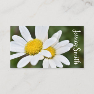 Vit Gult Daisy Blommor Daisy Natur Foto Visitkort