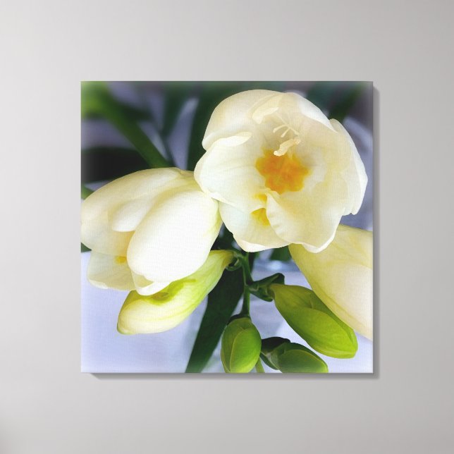 vit gult freesia canvastryck (Framsida)