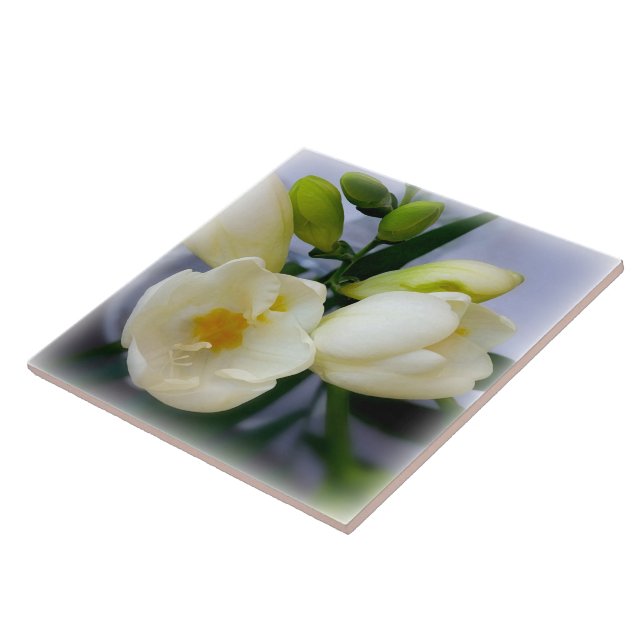 vit gult freesia kakelplatta (Sidan)