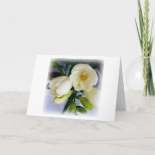 vit gult freesia kort
