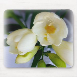 vit gult freesia musmatta