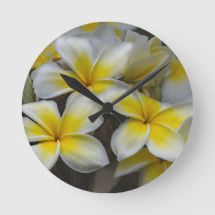Vit Gult Plumeria Rund Klocka